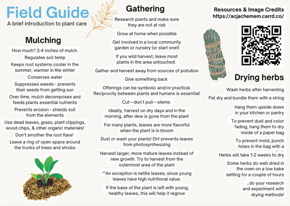 Acjachemem - The People of the Water: 2025 Native Plants Calendar Acjachemem - The People of the Water: 2025 Native Plants Calendar