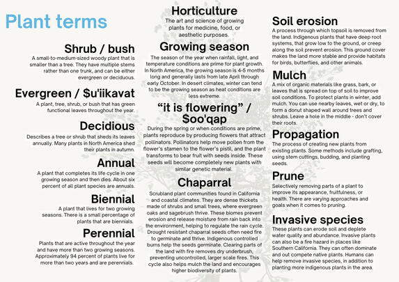 Acjachemem - The People of the Water: 2025 Native Plants Calendar Acjachemem - The People of the Water: 2025 Native Plants Calendar