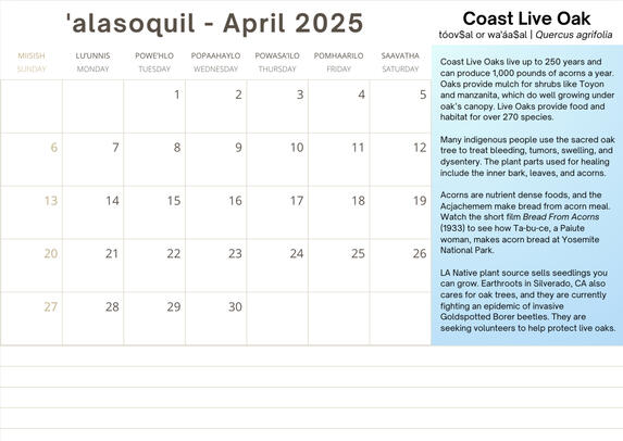 Acjachemem - The People of the Water: 2025 Native Plants Calendar Acjachemem - The People of the Water: 2025 Native Plants Calendar